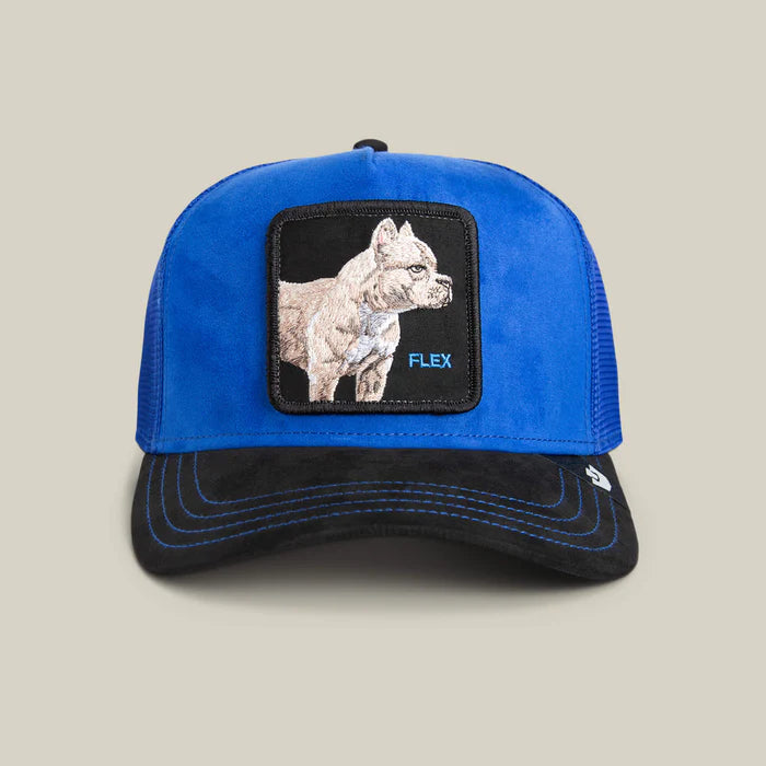 GORRA TRUCKER PITBULL "FLEX" - AZUL - GOORIN BROS THE FARM ANIMALS | 101-2580