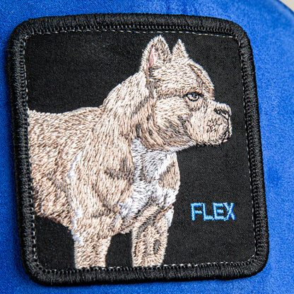 GORRA TRUCKER PITBULL "FLEX" - AZUL - GOORIN BROS THE FARM ANIMALS | 101-2580