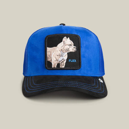 GORRA TRUCKER PITBULL "FLEX" - AZUL - GOORIN BROS THE FARM ANIMALS | 101-2580